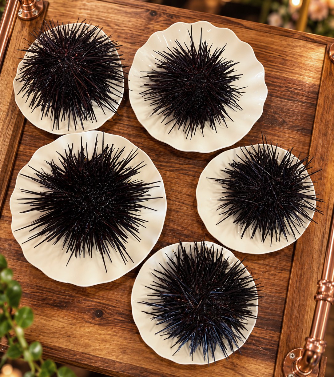 Five whole live sea urchins on white plates on a wood serving board